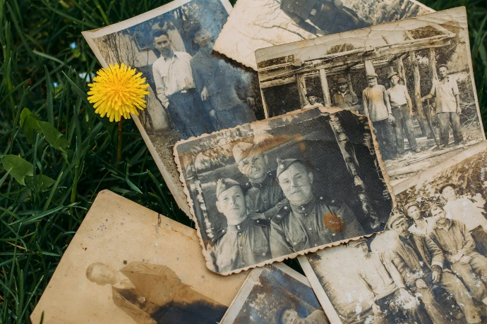 yellow sunflower beside brown wooden frame